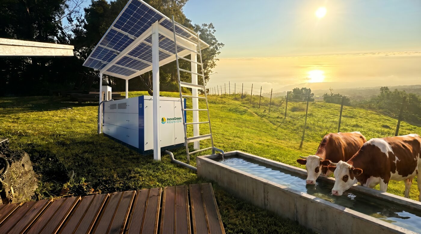 Abreuvoir alimenté par fontaine atmosphérique à La Réunion pour l'agriculture et l'élevage